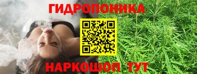 jwh Будённовск