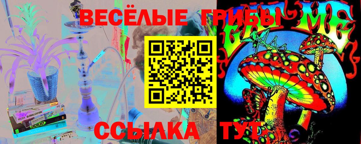 Галлюциногенные грибы Cubensis Мыски