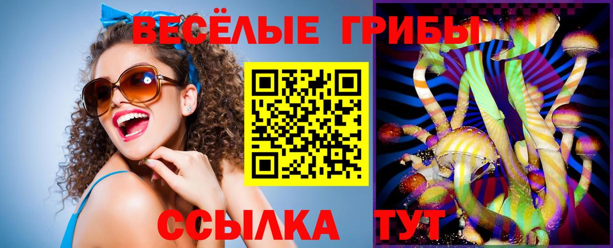 Галлюциногенные грибы Psilocybine cubensis  Вход с VPN  Галлюциногенные грибы мухоморы  Мыски 